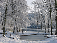 Lac d'Ilay en hiver